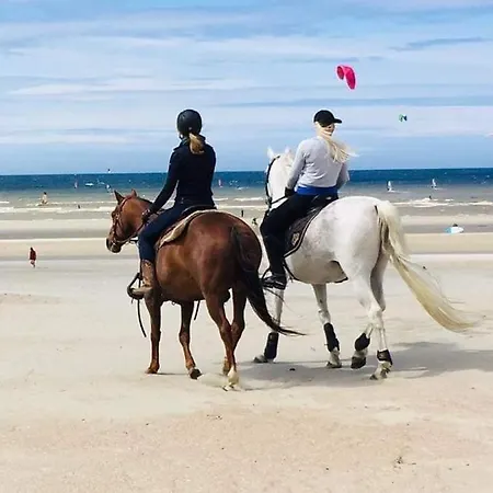 Daire Duplex Capricia Met Zwembad Jachthaven Nieuwpoort